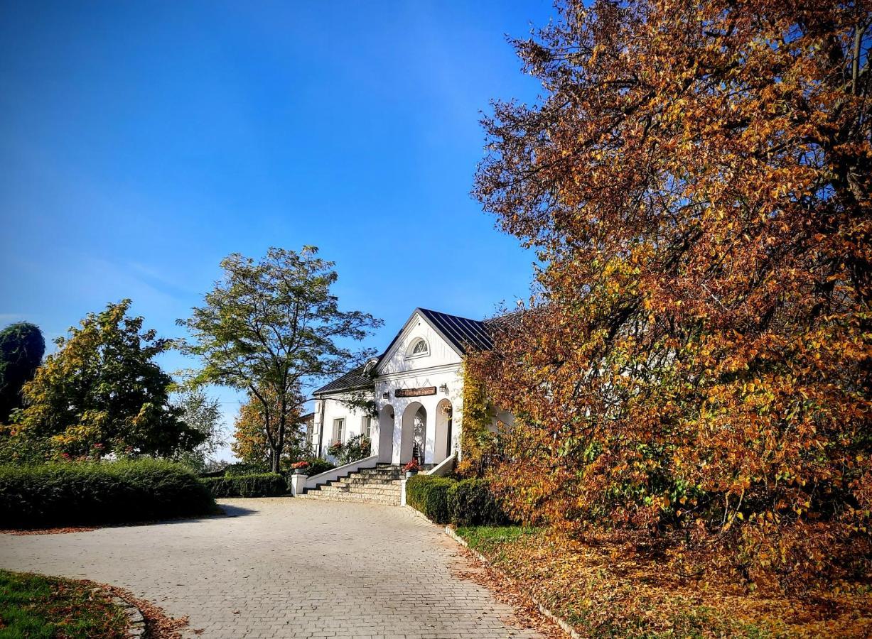 Dwor Na Wichrowym Wzgorzu Bed & Breakfast Przybyslawice Bagian luar foto