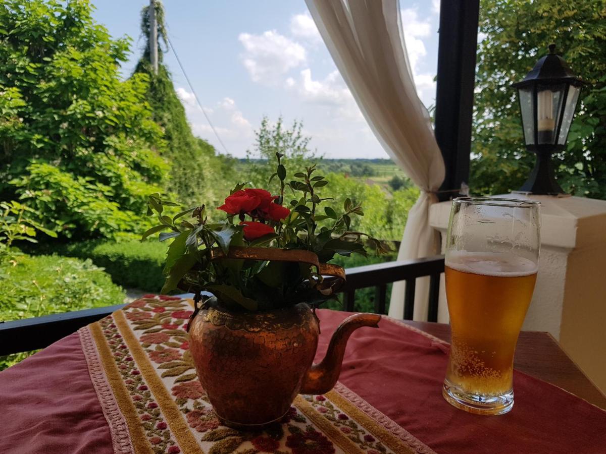 Dwor Na Wichrowym Wzgorzu Bed & Breakfast Przybyslawice Bagian luar foto