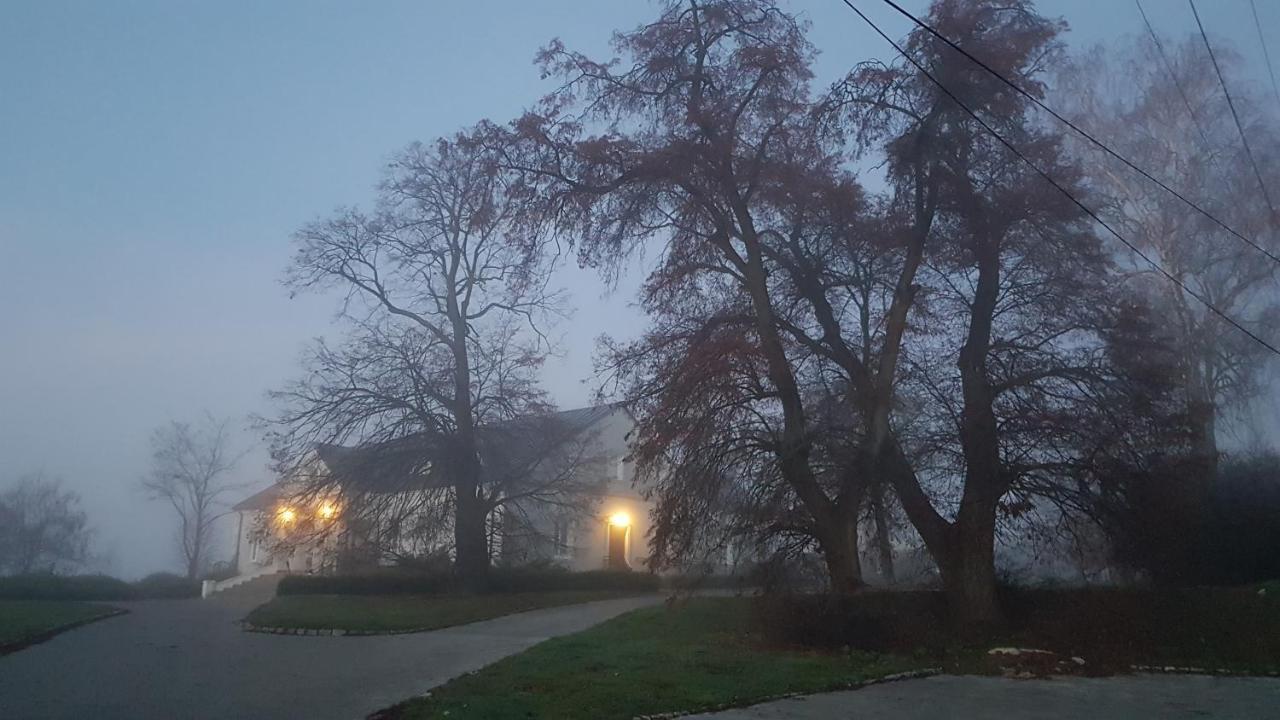 Dwor Na Wichrowym Wzgorzu Bed & Breakfast Przybyslawice Bagian luar foto