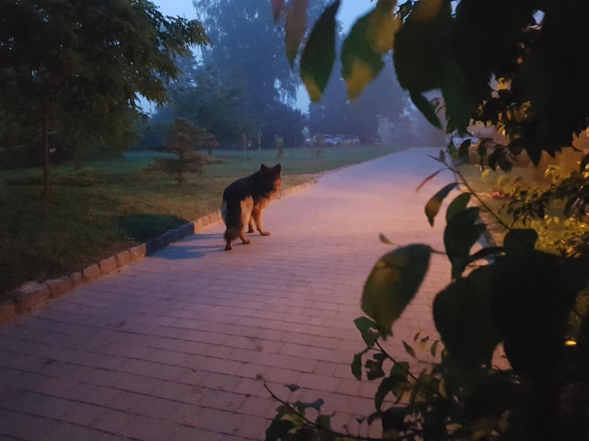 Dwor Na Wichrowym Wzgorzu Bed & Breakfast Przybyslawice Bagian luar foto